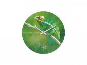 Часы настенные Nicole Time NT503 в Айхале - ajhal.mebel-nsk.ru | фото